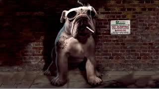 Krokus - Better Than Sex - Guitar Backing Track