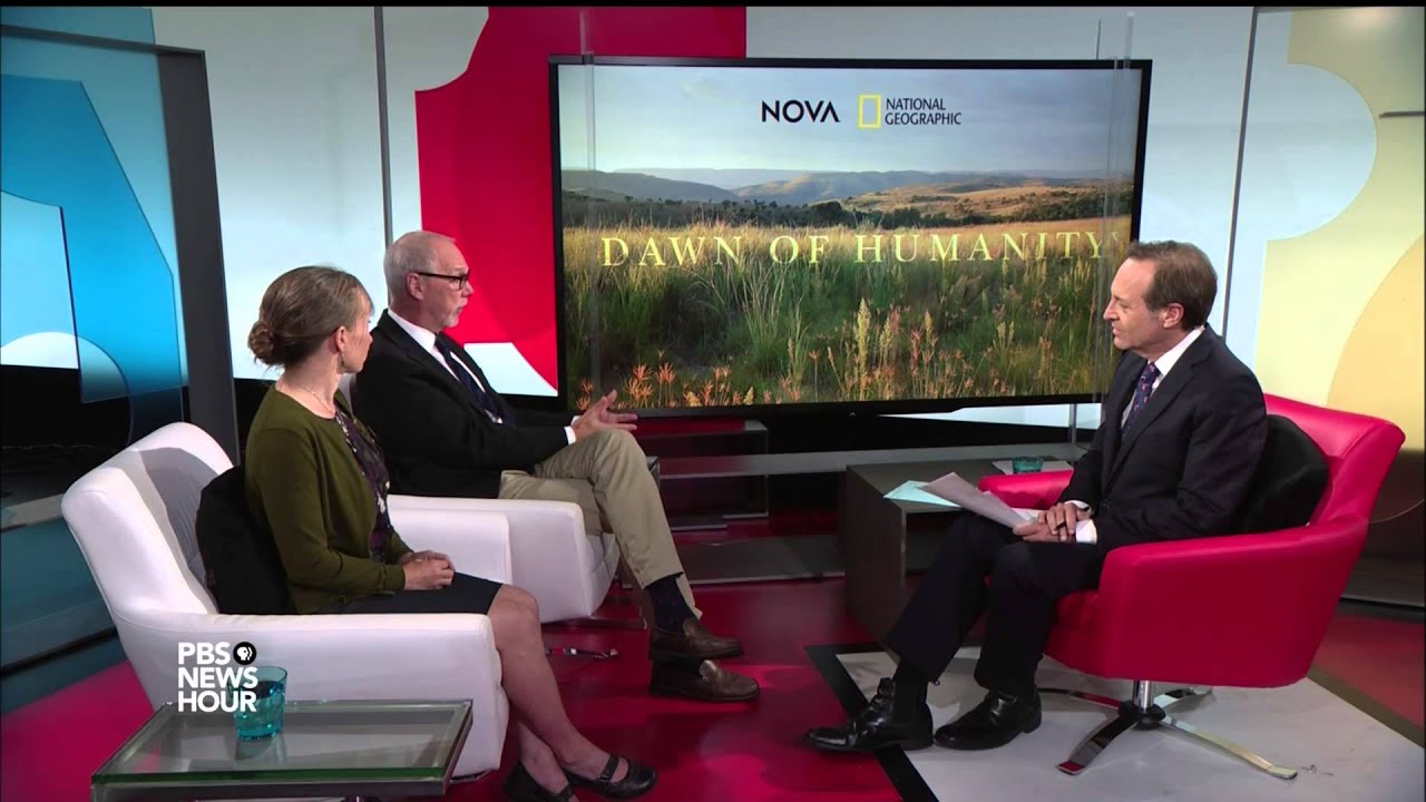 Trove of fossils from a long-lost human ancestor is greatest find in decades