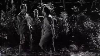 The Great Machine - Martin Collins (Live)