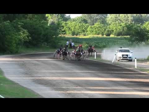 Trka "Memorijal Zvonko Mašić" 09.06.2019 Ivan Turgenev A.T. - Dejan Petrović