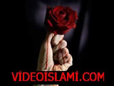 seyfullah-ey melaye cezeri