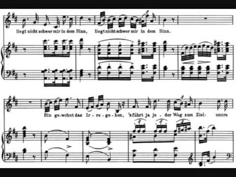 Franz Schubert - Winterreise