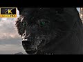 Hulk Vs Fenris Wolf Scene Thor Ragnarok Movie Scene HD Hulk Fights Fenris Wolf No Logo Clips