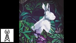 HNNY - Brasilian Sound