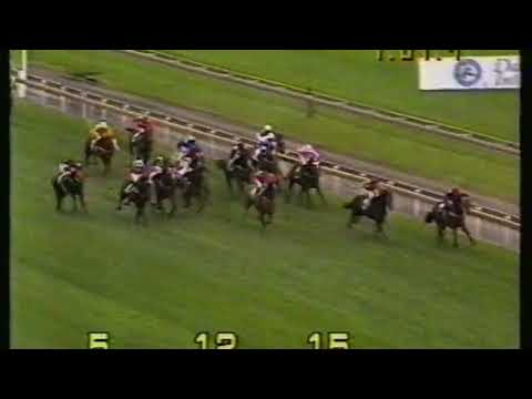 1993 Blue Diamond Stakes