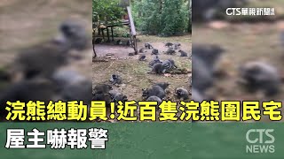 [分享] 浣熊總動員