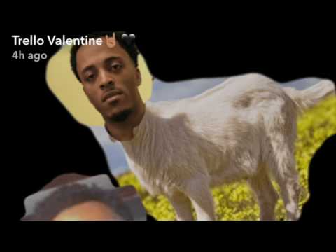 Mack Bundy - VVS Diamond$