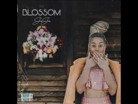 Sha Sha   Something About You ft Maphorisa & Kabza De Small