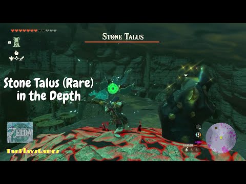 All Stone Talus (Rare) in Depth Location : Zelda Tears of The Kingdom.