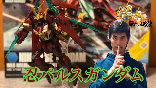 【ガンプラ】HG1/144 忍パルスガンダム【ガンダムビルドファイターズ】