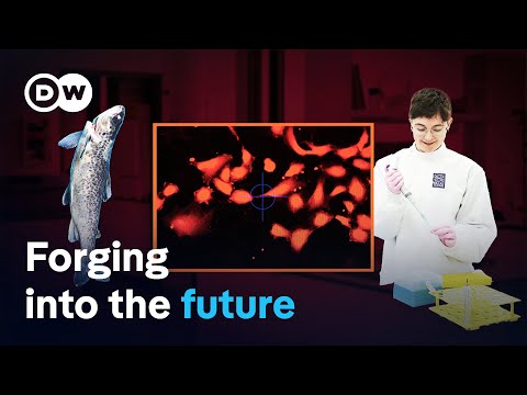 Green Start-Ups -Saving The Climate And Securing Prosperity: Is That Possible? | Dw Documentary