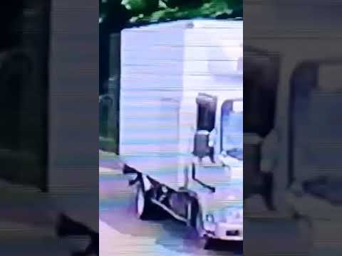 instrumental Genre #rootsrockreggae