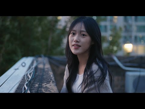 비디오 11