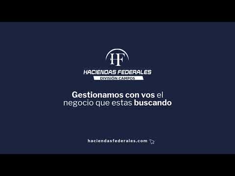 Campo Mixto en Palo Santo: Alto Potencial Agrícola, Ganadero y Forestal