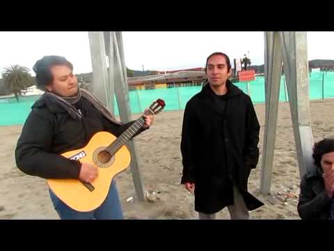 acustico Perro viejo /35.ooo horas