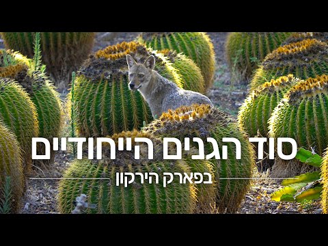 הגנים המיוחדים בפארק הירקון שפתוחים בחינם לכולם