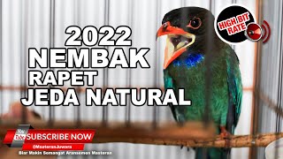 Download lagu Masteran Tengkek Buto Gacor Jeda Natural Mudah Dit... mp3