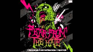 Fear From The Hate - Sign Of A Ruin
