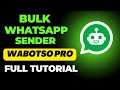 How to use Bulk WhatsApp Sender latest version - step by step Tutorial