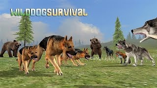 Wild Dog Survival Simulator videosu