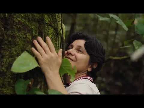 Coffee Tour con la Familia Vélez | Santa Bárbara, Antioquia