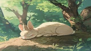 Rabbit and Tortise - Panchtantra Stories for Kids