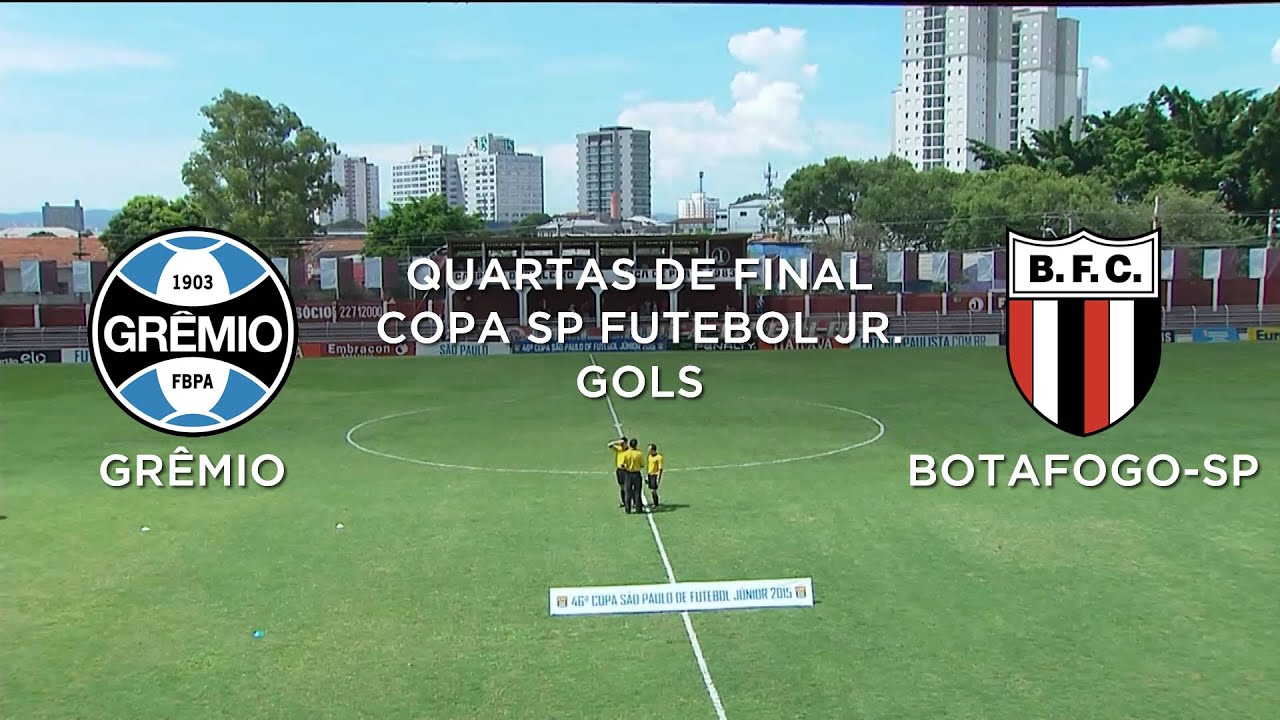 Gols - Grêmio-RS 1 x 2 Botafogo-SP - Copa São Pa...