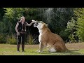 Abnormally Large Animals That Are Actually Real