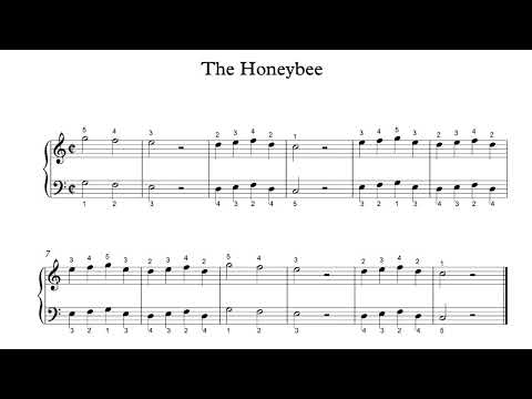The Honeybee - Suzuki Piano School 1