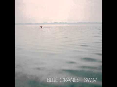 Blue Cranes - Great Dane, Small Horse
