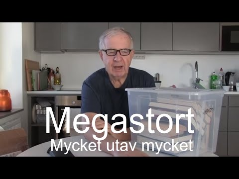 2019-10-28 TÅG, LOPPIS, BÖCKER OCH TRADERA