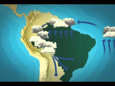 Globo Ecologia_Rios voadores