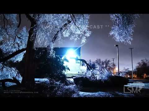 02-23-2023 Detroit, MI - Detroit Area Ice Storm Warning - Tree Damage - Icing