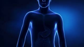 GSE Repair Rapid Acid