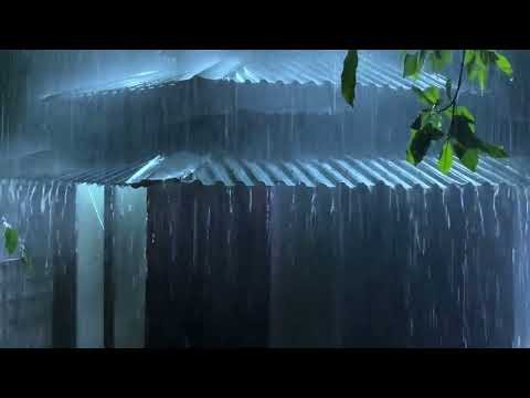 Sueño Instantáneo en 11 minutos 💤 Sonido de Lluvia en Techo en Bosque Brumoso para Sueño Profundo