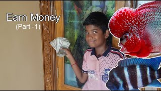 Part Time Aquarium Business for earning extra income  I Tamil & English captions I