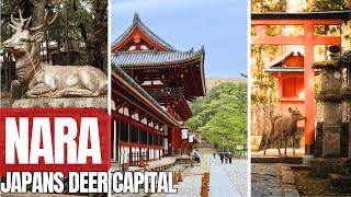 Nara 🇯🇵 10 Things to Do near Osaka 2026