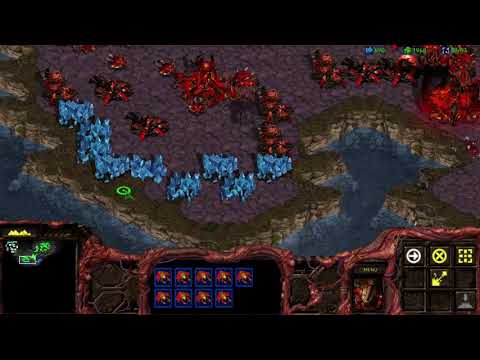 Starcraft: 1 Zerg vs 7 Random Computers