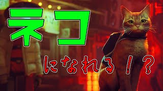 [Stray]最近流行りのネコになれるゲームを遊んでみた！！（配信切り抜き）