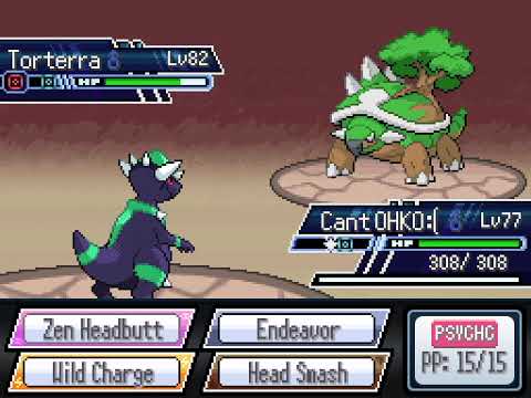 Pokemon Rejuvenation MM - Ryland