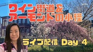 ライブ中継！Day4 ドイツワイン街道　アーモンドの小径　4/7
