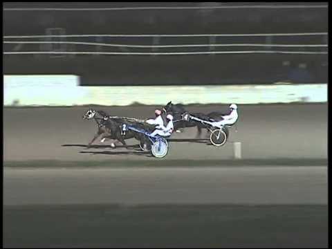 Trotto 01/02/2015 - Corsa Minitrotter