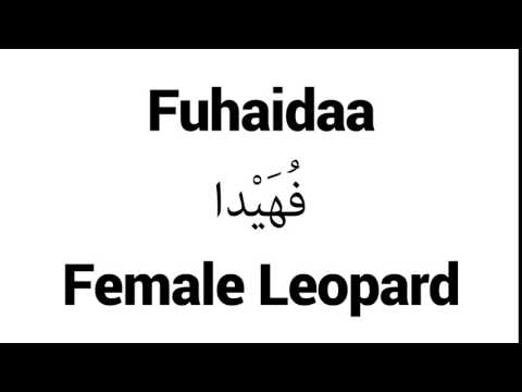 How to Pronounce Fuhaidaa! - Middle Eastern Names