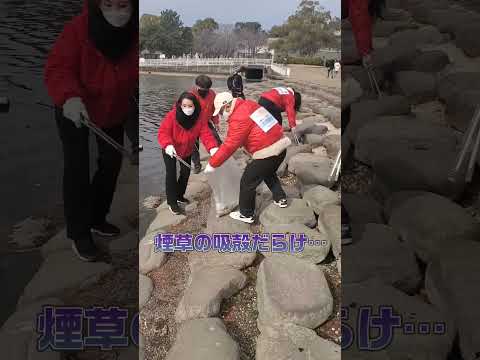 国際関係学科 手賀沼公園清掃活動 #千葉県議会議員 #我孫子 #shorts #手賀沼 #手賀沼公園　#水野ゆうき