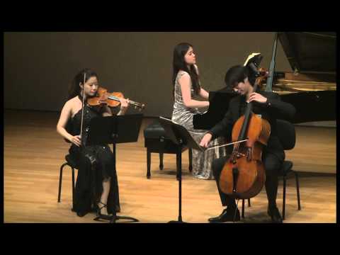 Fournier Trio: J. Brahms Trio No.2 in C, Op.87 -  Part 1/4