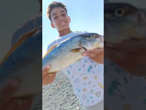 ма ма мия.#fish#bg