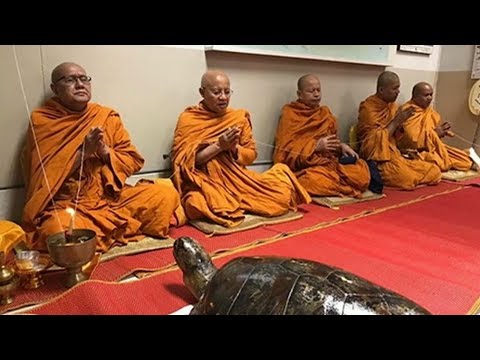 วิธีธรรมชาติเพื่อเพิ่มความแข็งแรง ระยะในที่เงียบสงบมีขนาดเล็กมาก