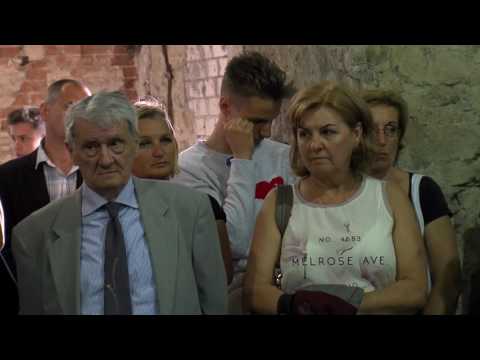 Szirmabesenyő kisfilm3