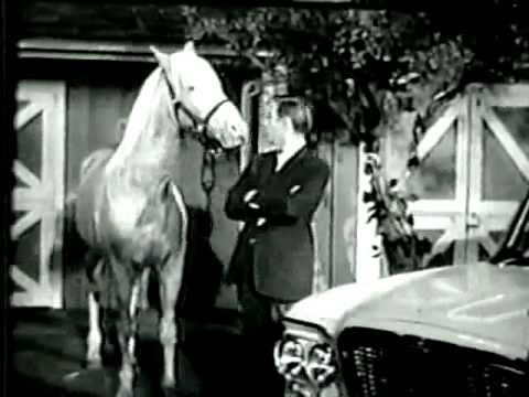 Mister Ed the talking horse - Lark Car TV Commercial