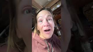 Mexican snacks (Galletas edition) #vanlifevoyages #medicaltourism #dentaltourism #bajamexico